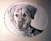 Best Friends thumbnail