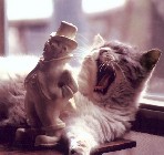 Carolers - Cat and Statue  thumbnail