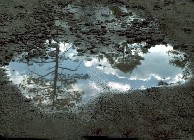 Nature's Perspective thumbnail