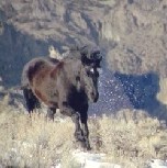 Click here to go to photos and artwork