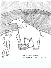 Casper tried to hide the beautiful red scooter.