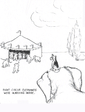 Eight circus elephants were hurrying inside - click here for more