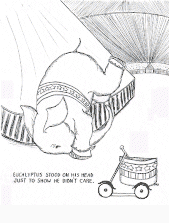 Eucalyptus stood on his head just to show he didn't care.