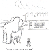 I have a simply glorious idea.