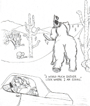 I would much rather look where I am going.