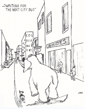 Waiting for the next city bus.